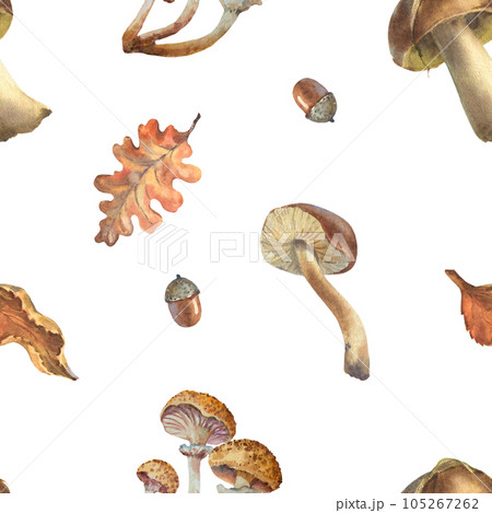 Seamless brown mushrooms pattern. Watercolor seamless pattern with illustration of mushrooms, leaves, acorns, branch. Saffron milk cap or red pine mushroom, porcini, cantharellus Seamless brown mushrooms pattern. Watercolor seamless pattern with illustration of mushrooms, leaves, acorns, branch. Saffron milk cap or red pine mushroom, porcini, cantharellus 105267262