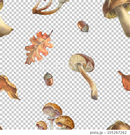 Seamless brown mushrooms pattern. Watercolor seamless pattern with illustration of mushrooms, leaves, acorns, branch. Saffron milk cap or red pine mushroom, porcini, cantharellus Seamless brown mushrooms pattern. Watercolor seamless pattern with illustration of mushrooms, leaves, acorns, branch. Saffron milk cap or red pine mushroom, porcini, cantharellus 105267262
