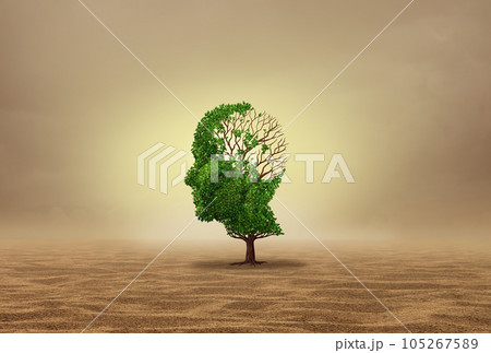 Mental Health and Heatave 105267589