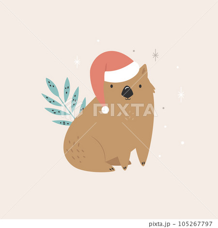 Christmas greeting card with funny wombat sitting in a Santa hat Christmas greeting card with funny wombat sitting in a Santa hat 105267797