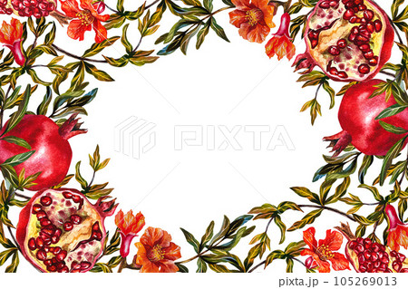 Pomegranate. Frame of pomegranate fruits on a branch, burst, cut pomegranate and flowers. Watercolor illustration. 105269013