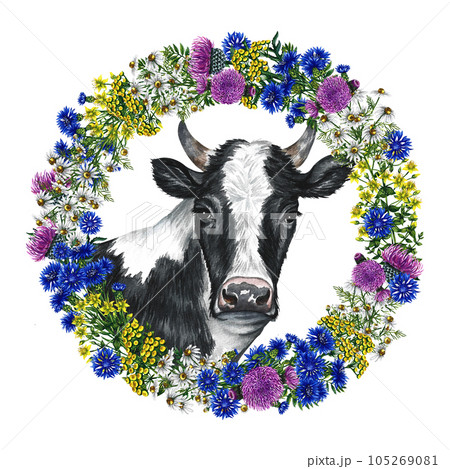 The head of a black and white cow wreath of wild flowers. Watercolor hand drawn illustration. Isolate. For the design of dairy and farm products. For banner, flyer, label and packaging. The head of a black and white cow wreath of wild flowers. Watercolor hand drawn illustration. Isolate. For the design of dairy and farm products. For banner, flyer, label and packaging. 105269081