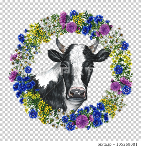 The head of a black and white cow wreath of wild flowers. Watercolor hand drawn illustration. Isolate. For the design of dairy and farm products. For banner, flyer, label and packaging. The head of a black and white cow wreath of wild flowers. Watercolor hand drawn illustration. Isolate. For the design of dairy and farm products. For banner, flyer, label and packaging. 105269081