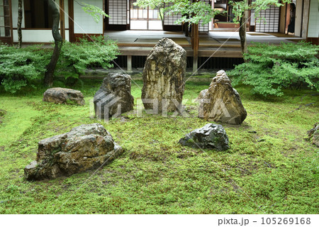 建仁寺 雨上がりの潮音庭 建仁寺 雨上がりの潮音庭 105269168
