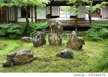 建仁寺 雨上がりの潮音庭 建仁寺 雨上がりの潮音庭 105269179
