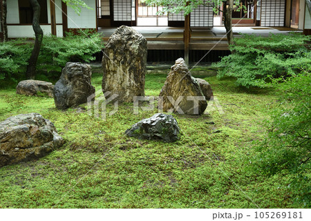 建仁寺 雨上がりの潮音庭 建仁寺 雨上がりの潮音庭 105269181