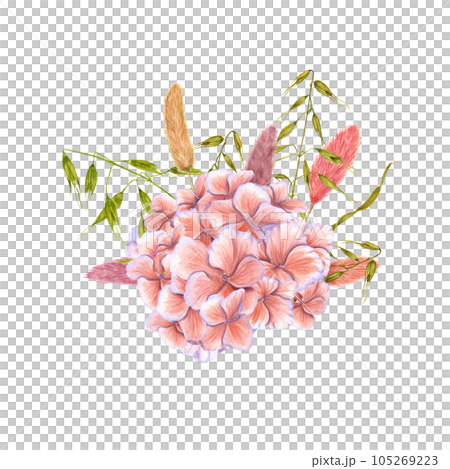 Floral composition of hydrangea, dried lagurus, wild oats. Watercolor illustration of flower, greenery isolated on white background. Bouquet for postcards, greeting design. 105269223