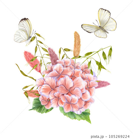 Delicate bouquet with fluttering butterflies. Hydrangea, lagurus, wild oats, cabbage. Composition isolated on white background. For the design of invitations, cards, stationery, labels 105269224