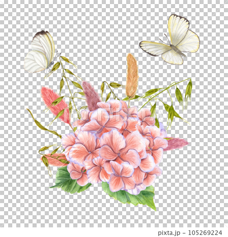 Delicate bouquet with fluttering butterflies. Hydrangea, lagurus, wild oats, cabbage. Composition isolated on white background. For the design of invitations, cards, stationery, labels 105269224