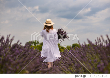 Girl in a white dress with a bouquet of fresh lavender on a lavender field. 105269408