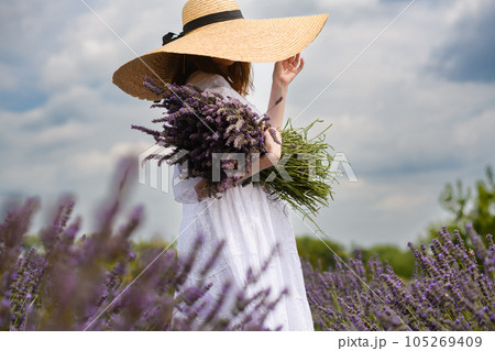 Girl in a white dress with a bouquet of fresh lavender on a lavender field. 105269409