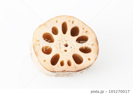 レンコン　白背景 105270017