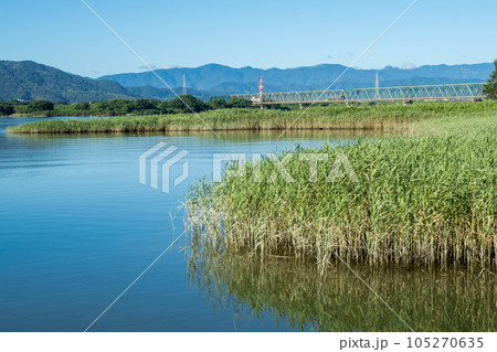 【高徳線】吉野川橋梁を渡る早朝の普通列車 105270635