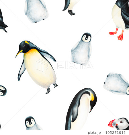 Watercolor seamless pattern with king penguins family and puffin bird isolated. Hand painting realistic Arctic and Antarctic ocean mammals. For designers, decoration, postcards, wrapping paper, Watercolor seamless pattern with king penguins family and puffin bird isolated. Hand painting realistic Arctic and Antarctic ocean mammals. For designers, decoration, postcards, wrapping paper, 105271013