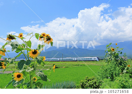 大糸線　夏の特急あずさ 105271658