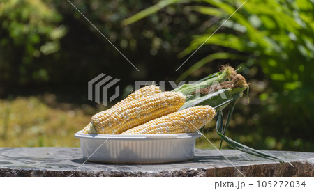 皮を剥いた生のトウモロコシ 皮を剥いた生のトウモロコシ 105272034