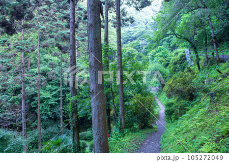 秩父 華厳の滝 入口付近の風景 秩父 華厳の滝 入口付近の風景 105272049