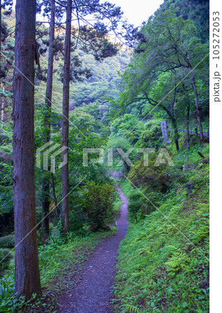 秩父 華厳の滝 入口付近の風景 秩父 華厳の滝 入口付近の風景 105272053