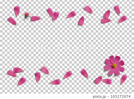 舞い散る赤いコスモスの花びら、透明背景の切抜き素材 105272074