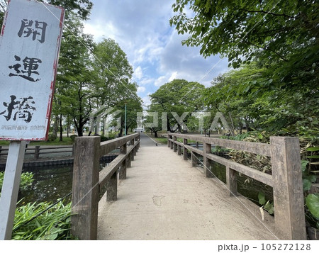 与野公園にある開運橋 与野公園にある開運橋 105272128