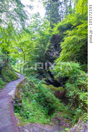 秩父 華厳の滝 入口付近の風景 秩父 華厳の滝 入口付近の風景 105272193