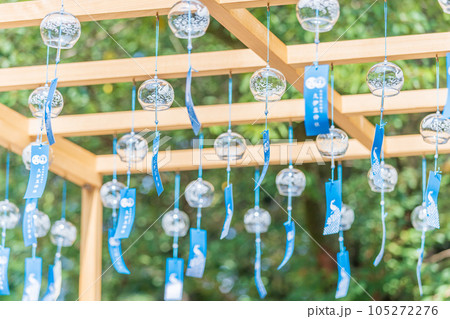 「埼玉県」久伊豆神社の江戸風鈴 岩槻市 「埼玉県」久伊豆神社の江戸風鈴 岩槻市 105272276