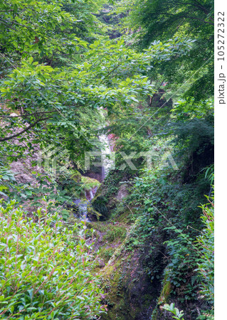 秩父　華厳の滝　真夏の季節 105272322