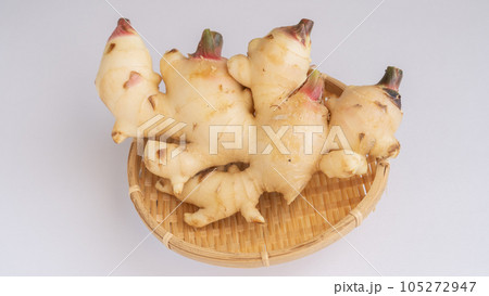 ザルにのった新生姜 ザルにのった新生姜 105272947