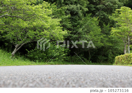 道路と風景 道路と風景 105273116