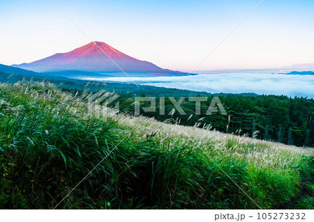 初秋の紅富士　山中湖パノラマ台の夜明け 105273232