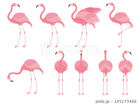 色々なポーズのフラミンゴのイラストのセット 105273468
