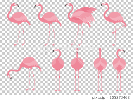 Set of flamingo illustrations in various poses 105273468