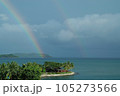 海にかかる虹 105273566