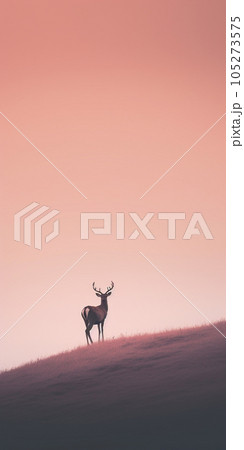 Lonely deer in the forest Lonely deer in the forest 105273575