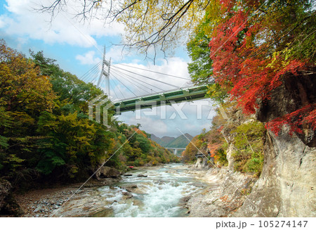 秋紅葉 諏訪峡遊歩道 諏訪峡大橋(群馬県みなかみ町) 秋紅葉 諏訪峡遊歩道 諏訪峡大橋(群馬県みなかみ町) 105274147