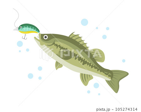 緑色のルアーで釣る、ブラックバスのイラスト 105274314