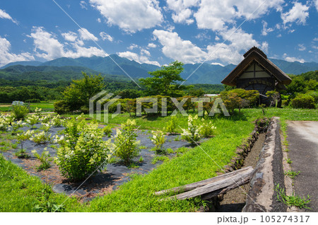 水車の里公園　水車小屋のある風景　日本の原風景 105274317