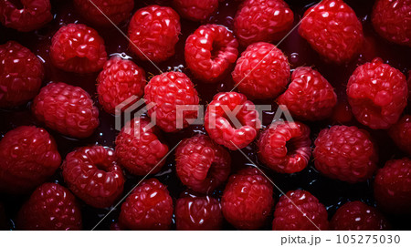 Many fresh perfect raspberries with water drops in top view on a dark background. High quality illustration 105275030