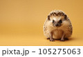 Advertising portrait, banner, small biege classic hedgehog with needles, straight look , isolated on yellow background. High quality illustration 105275063