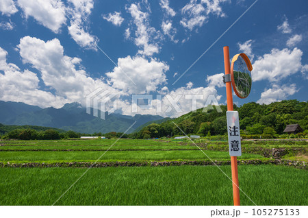 カーブミラーと田園 105275133