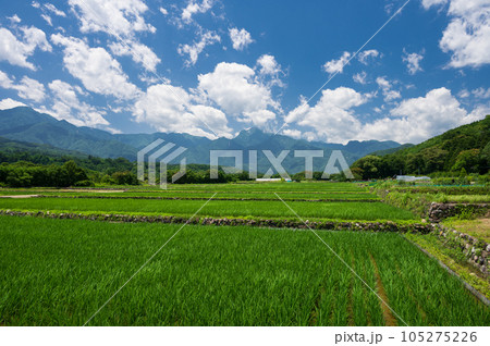 武川町の田園風景 原風景 武川町の田園風景 原風景 105275226