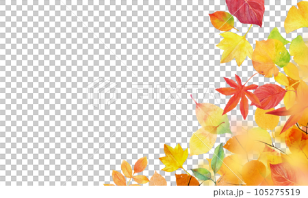 秋の背景素材　落ち葉や紅葉　バックイメージ 105275519