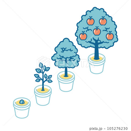 Illustration of the growth process of an apple 105276230
