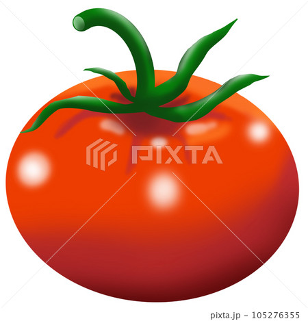 tomato tomato 105276355