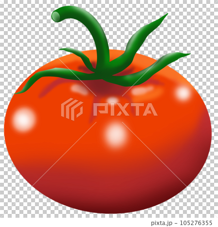 tomato tomato 105276355