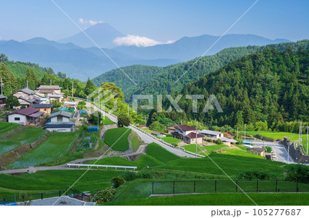 夏の平林の棚田 105277687
