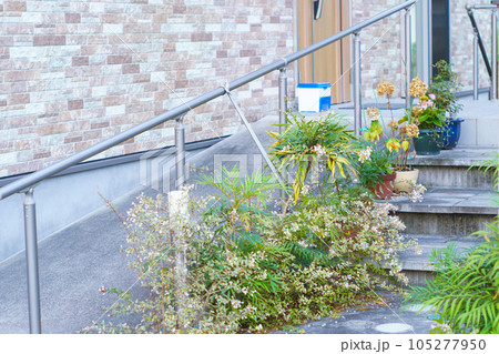 バリアフリーな家の玄関 105277950