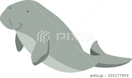 かわいいジュゴンのイメージイラスト 105277954