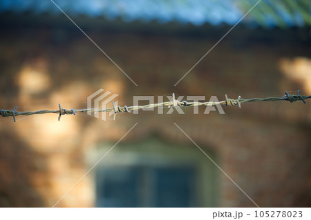 Silhouette of rusty barbed wire on blurred background 105278023