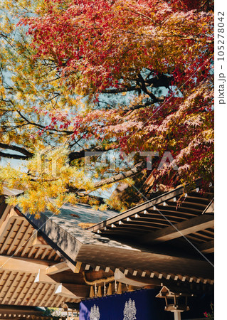 Atsuta Shrine with autumn leaves in Nagoya, Japan Atsuta Shrine with autumn leaves in Nagoya, Japan 105278042